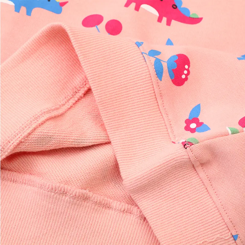 Girls' Pink Long - Sleeve Sweatshirt - with Dinosaur and Floral All - over Print - Suitable for Ages 2-7y