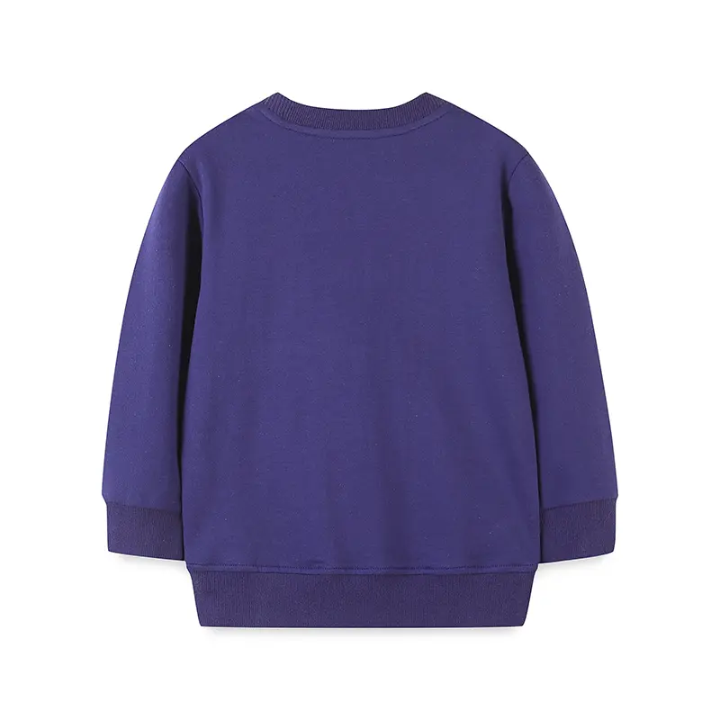 Girls' Navy Long Sleeve Sweatshirt with Adorable Owl Mother and Cub Print - Suitable for Ages 2-7y