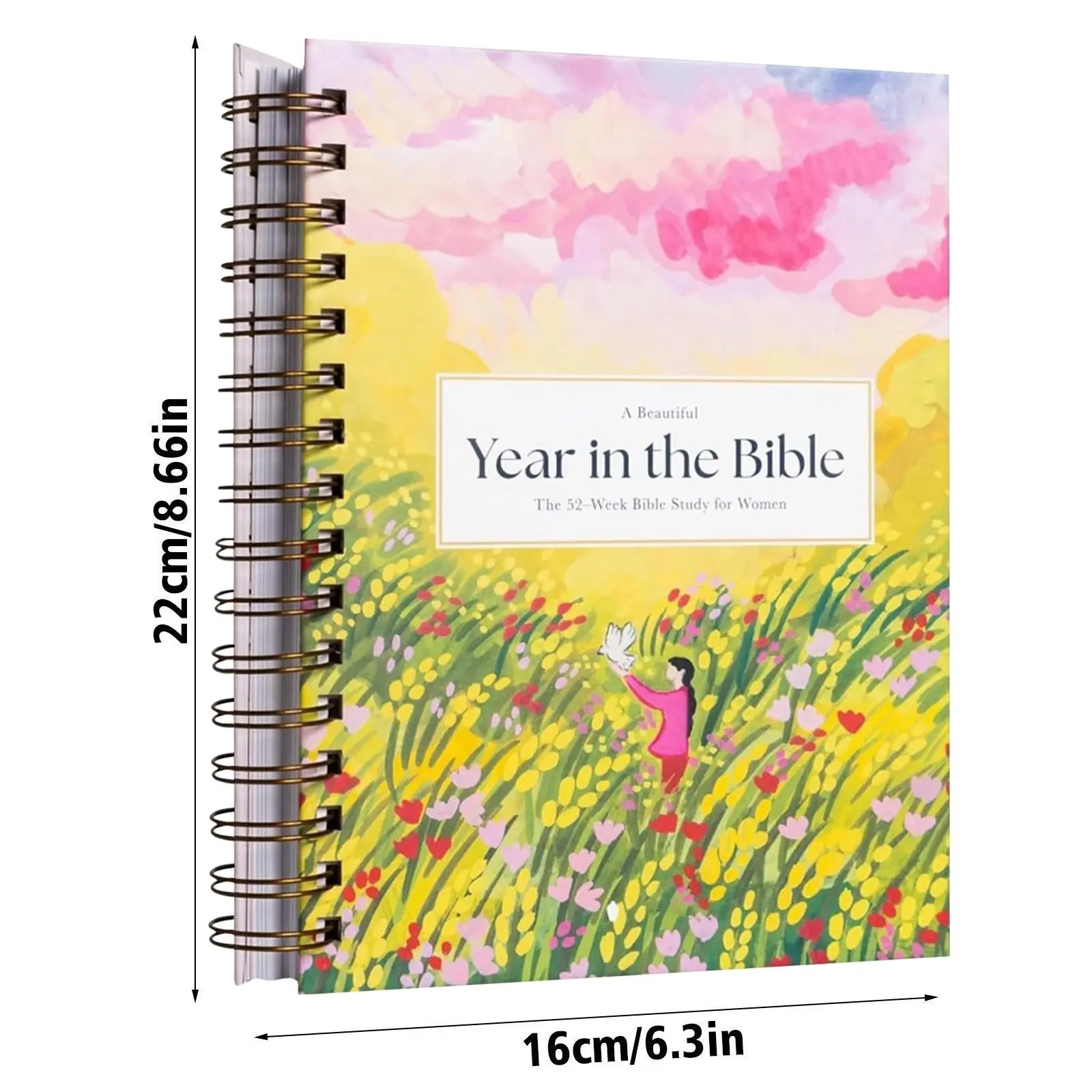A Beautiful Year In The Bible Women Bible Guide 52 Week Bible Study For Women Women Bible Study Guide with Suggested Readings