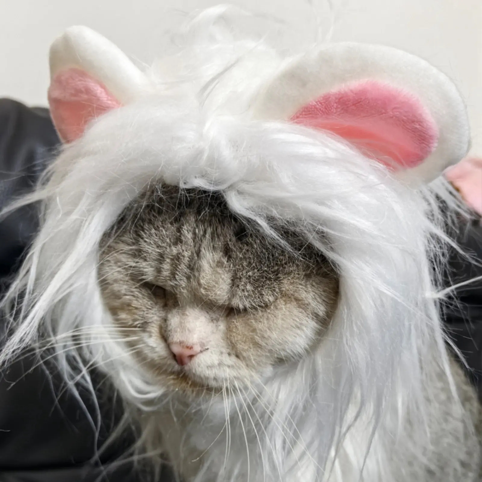 Cat Lion Wig Funny Costume Puppy Halloween Cosplay Dress Up Clothes Cute Pet Hat For Small Dog Kitten Party Accessories