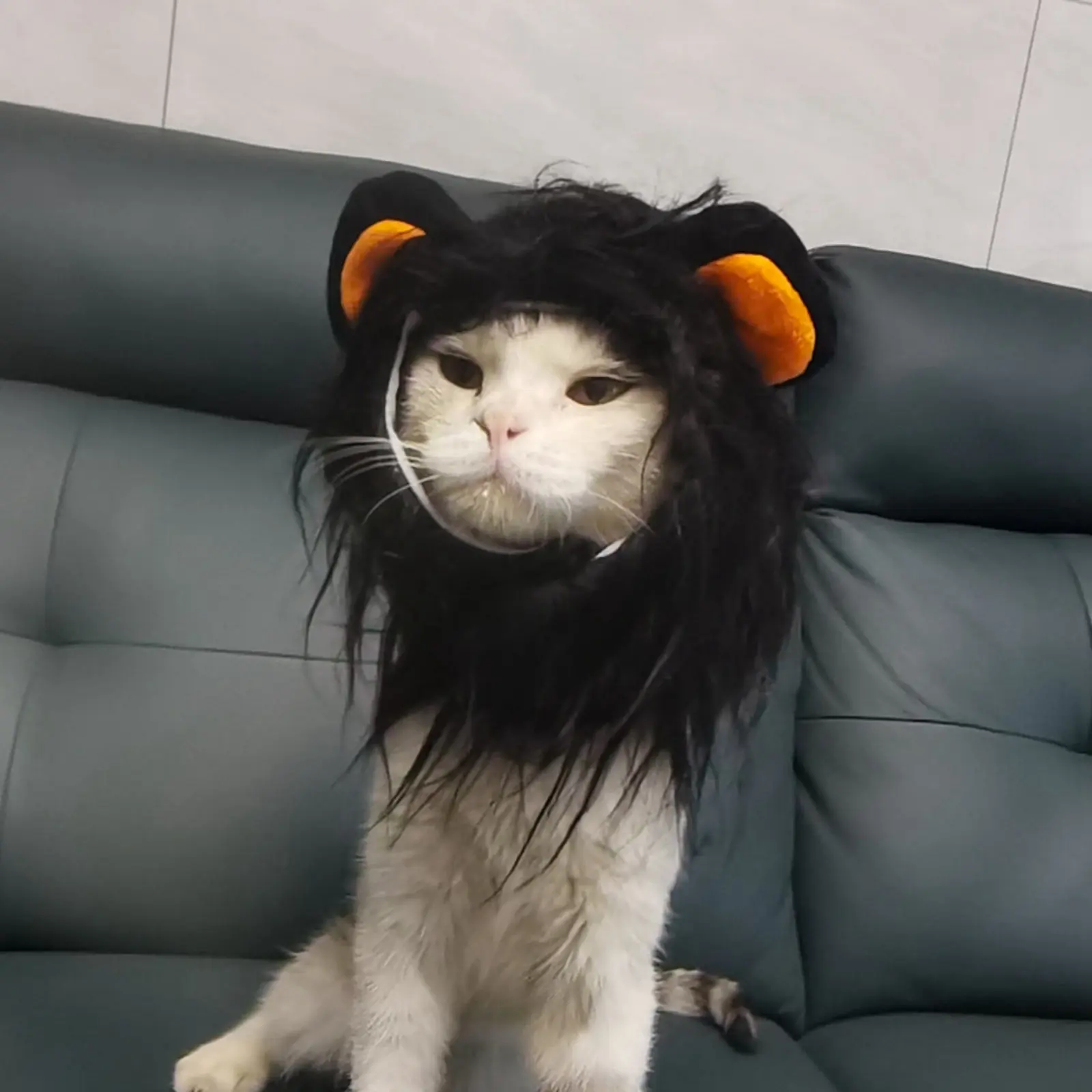 Cat Lion Wig Funny Costume Puppy Halloween Cosplay Dress Up Clothes Cute Pet Hat For Small Dog Kitten Party Accessories