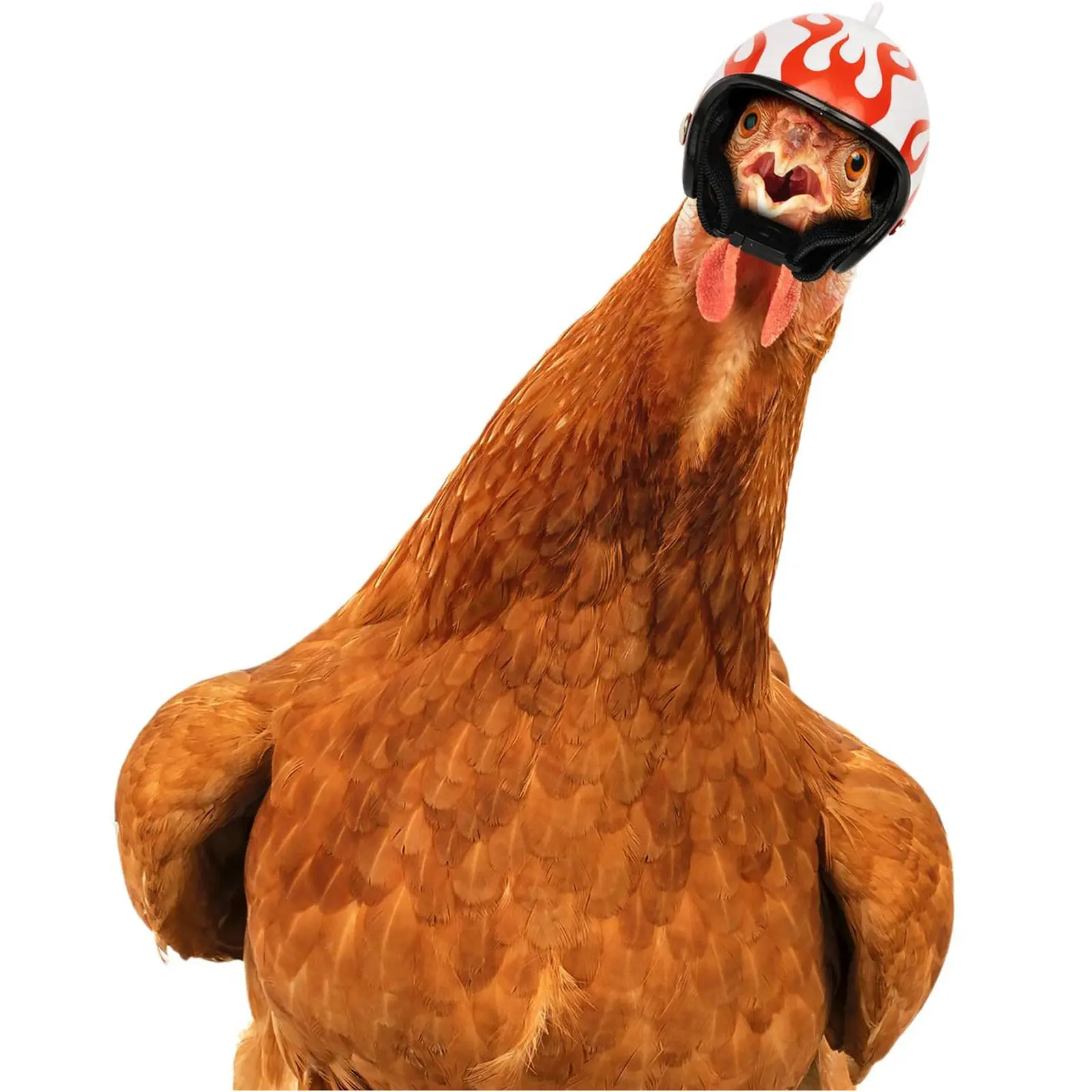 4PCS Funny Chicken Helmet Bird Protect Cap Sun Rain Protection Helmet DIY Small Pet Accessories Small Pet Protective Supplies