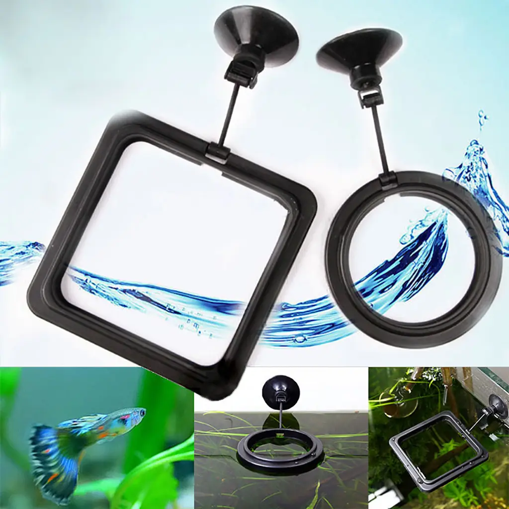 Feeding Ring Aquarium Fish Tank Station Floating Fish Feeding round Food Tary Feeder Square/Circle Home Fish feeding frame