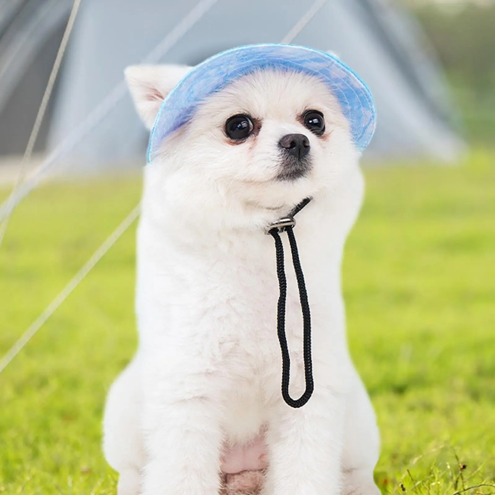 Cotton Cat Sun Hat With Ear Holes Round Brim Dog Puppy Cat Bucket Hat Outdoor Sun Protection Pet Caps for Small Medium Cat Dogs