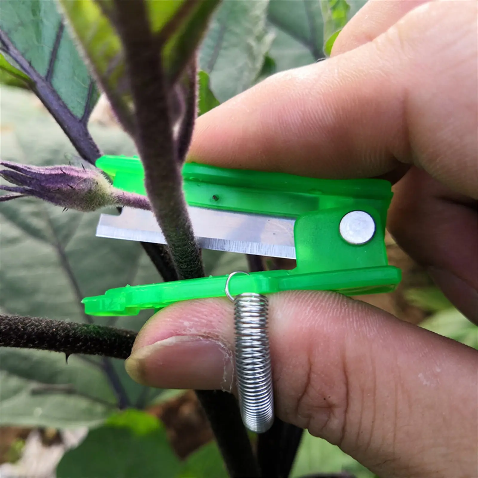 Multifunction Thumb Knife Garden Pruner Fruit Picking Device Safe Fruit Blade Tool Cutting Blade Rings Finger Protector Catcher