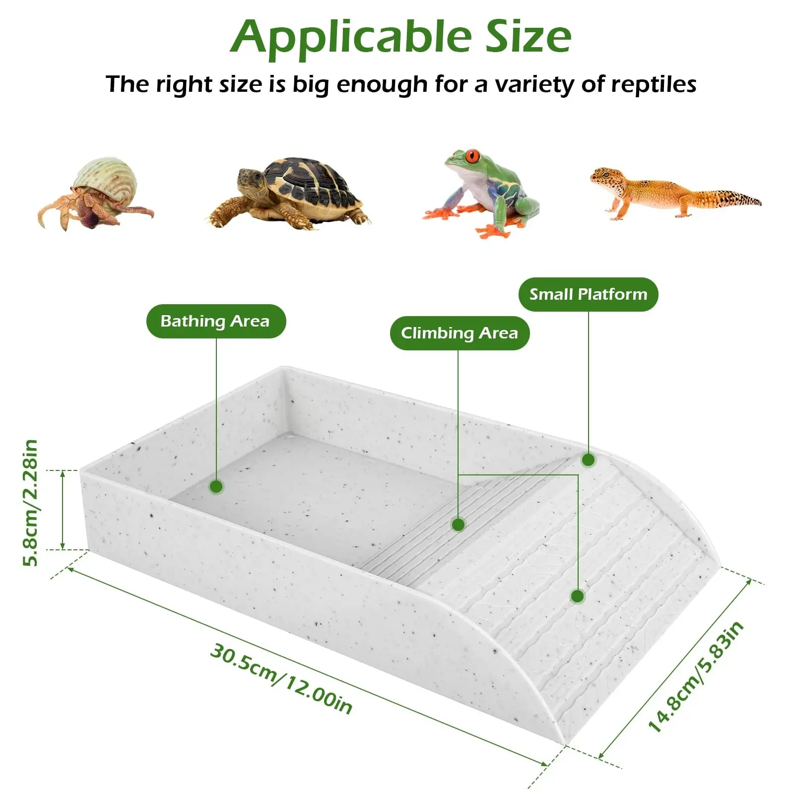Tortoise Food Dish Plastic Turtle Food and Water Bowl Tortoise Habitat Accessory with Anti-Slip Ramp Turtle Reptile Bathing Pool