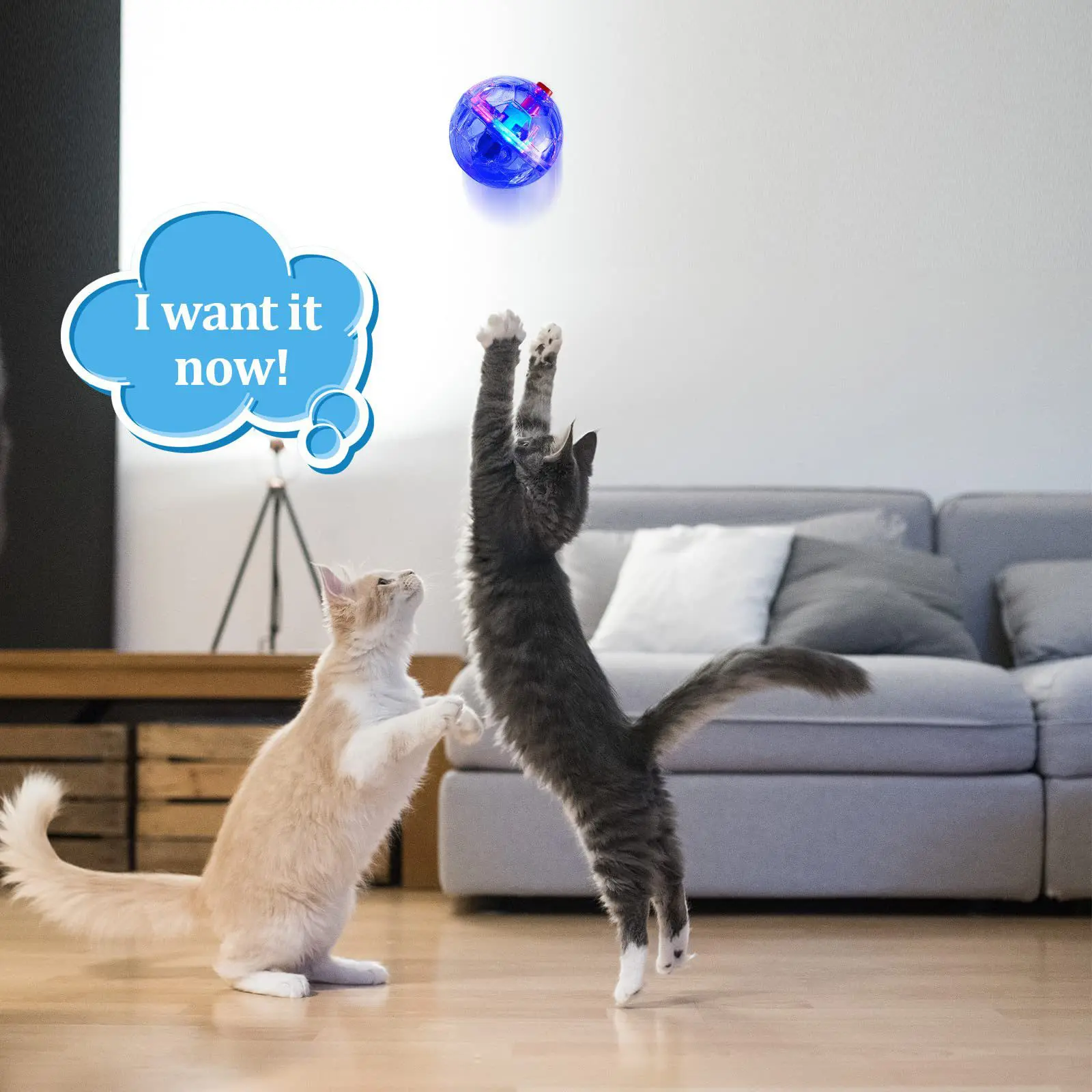 3Pcs Cat Motion Light Up Interactive Flash Ball Ghost Small Battery Powered Paranormal Equipment Portable LED Gift Pet Toys