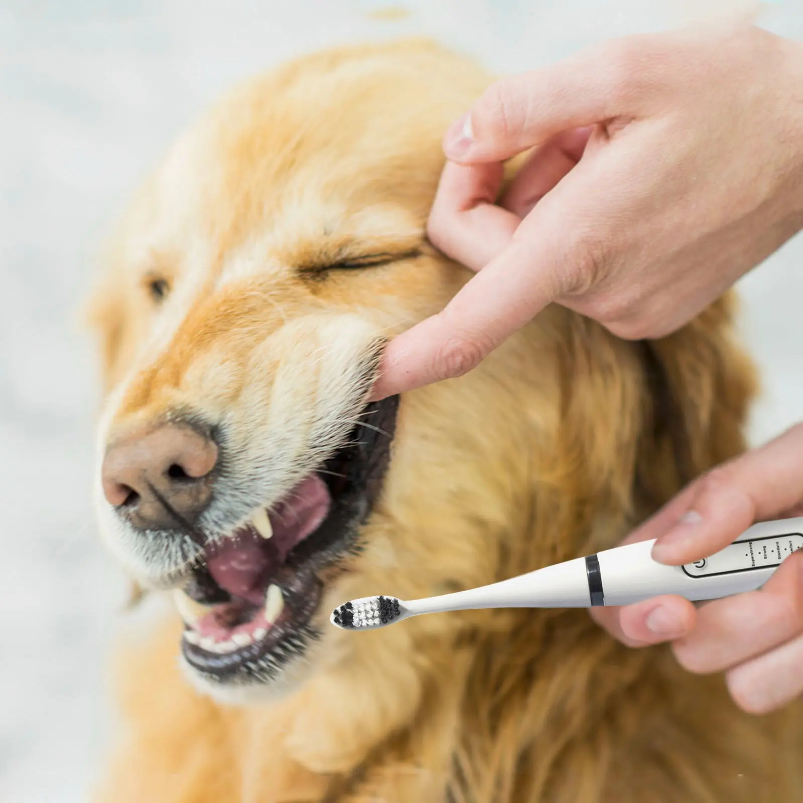 Ultrasonic Portable Electric Dog Toothbrush Professional Plaque Calculus Removal Teeth Whitening for Pet Dental Care