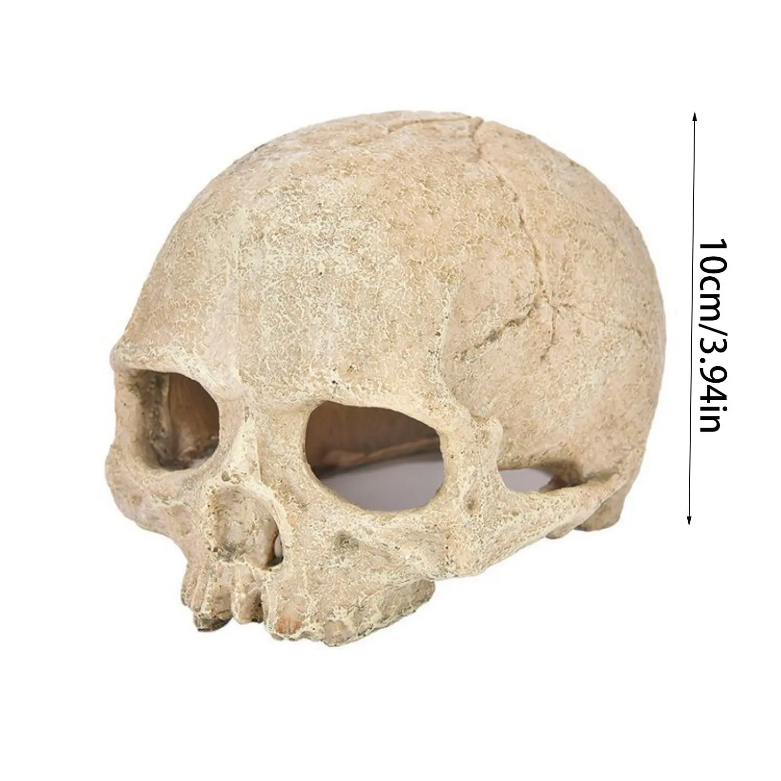 Fish Tank Aquarium Skull Decoration Breeding House Simulation Resin Cranium Statue Spider Scorpion Lizard Shelter Home Ornament