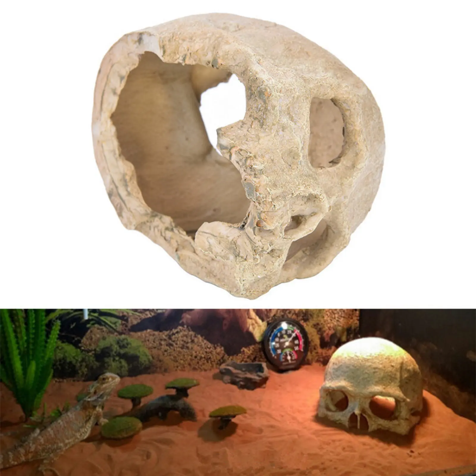 Fish Tank Aquarium Skull Decoration Breeding House Simulation Resin Cranium Statue Spider Scorpion Lizard Shelter Home Ornament