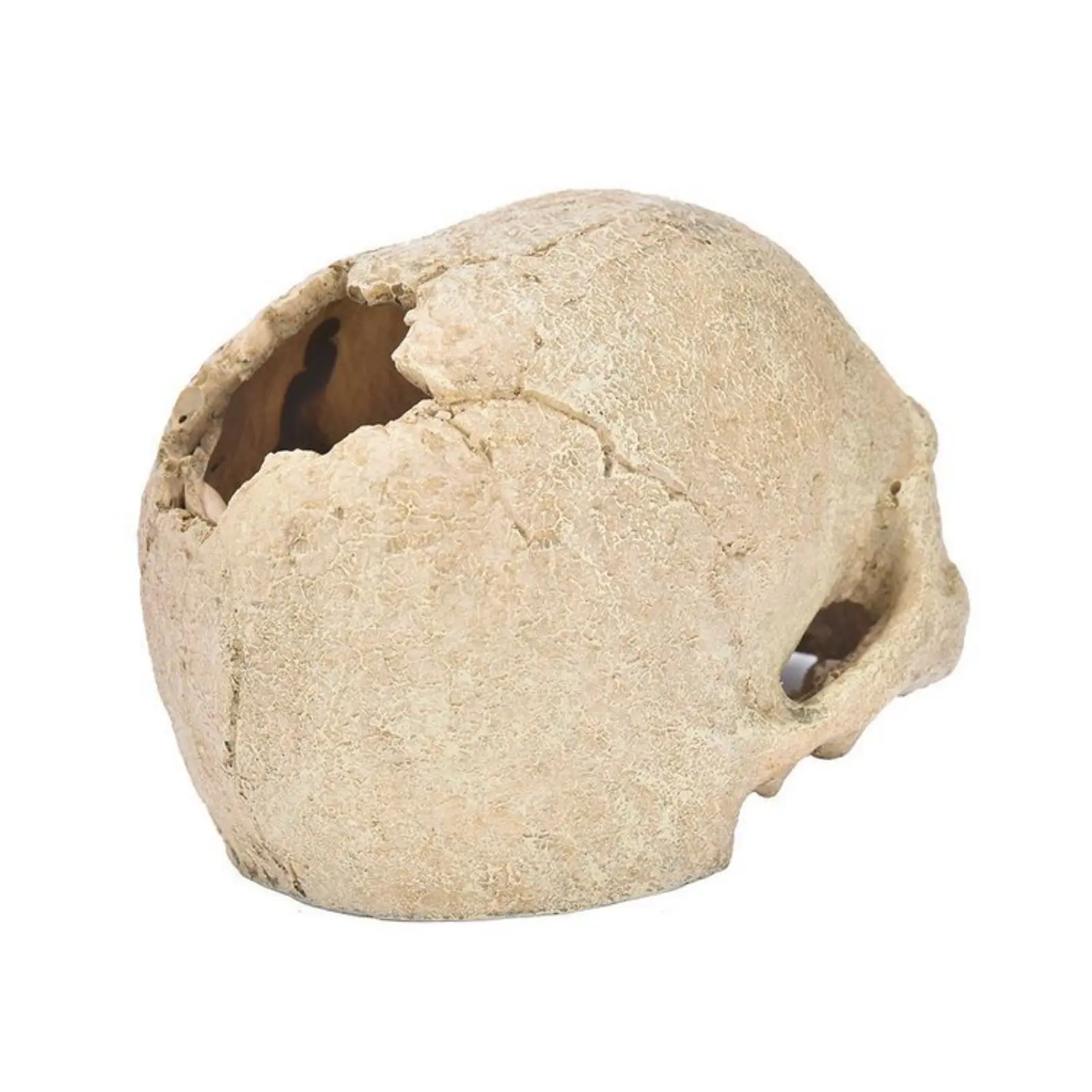 Fish Tank Aquarium Skull Decoration Breeding House Simulation Resin Cranium Statue Spider Scorpion Lizard Shelter Home Ornament