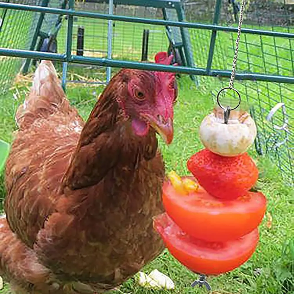 Pet Parrot Stainless Steel Feeder Fruit Corn Fork Toys Chicken Vegetables Holder Hanging Feeding Birdcage Accessories