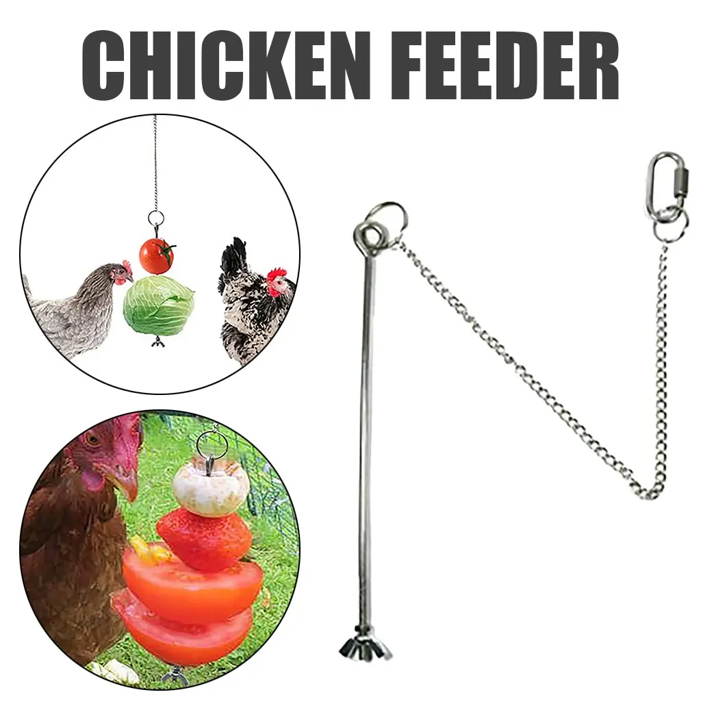 Pet Parrot Stainless Steel Feeder Fruit Corn Fork Toys Chicken Vegetables Holder Hanging Feeding Birdcage Accessories
