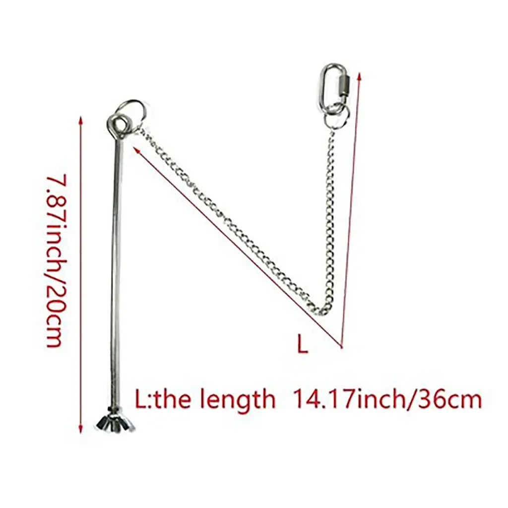 Pet Parrot Stainless Steel Feeder Fruit Corn Fork Toys Chicken Vegetables Holder Hanging Feeding Birdcage Accessories