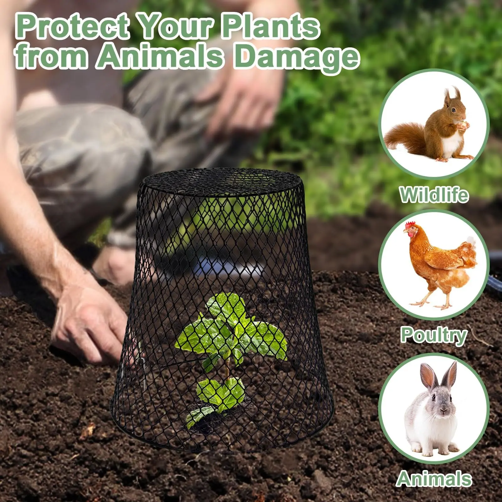 5/10pcs Wire Plant Protection Cover Garden Roof Seedlings Fruit And Vegetable Protection Cage Prevent Rabbits Chickens Squirrels