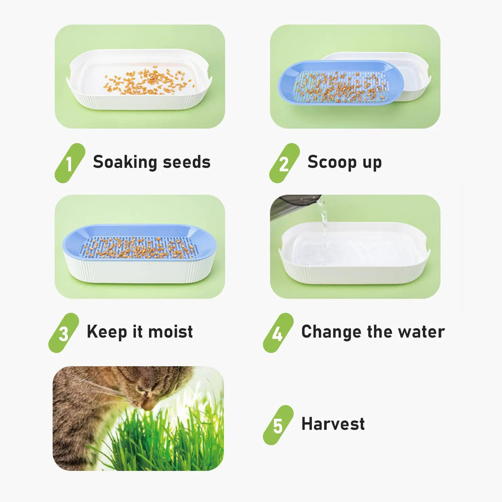 Nursery Tray Seed Germination Tray Cat Grass Growing Set Layered Feline Soilless Convenient Cat Grass Set 3 Styles Pet Supplies