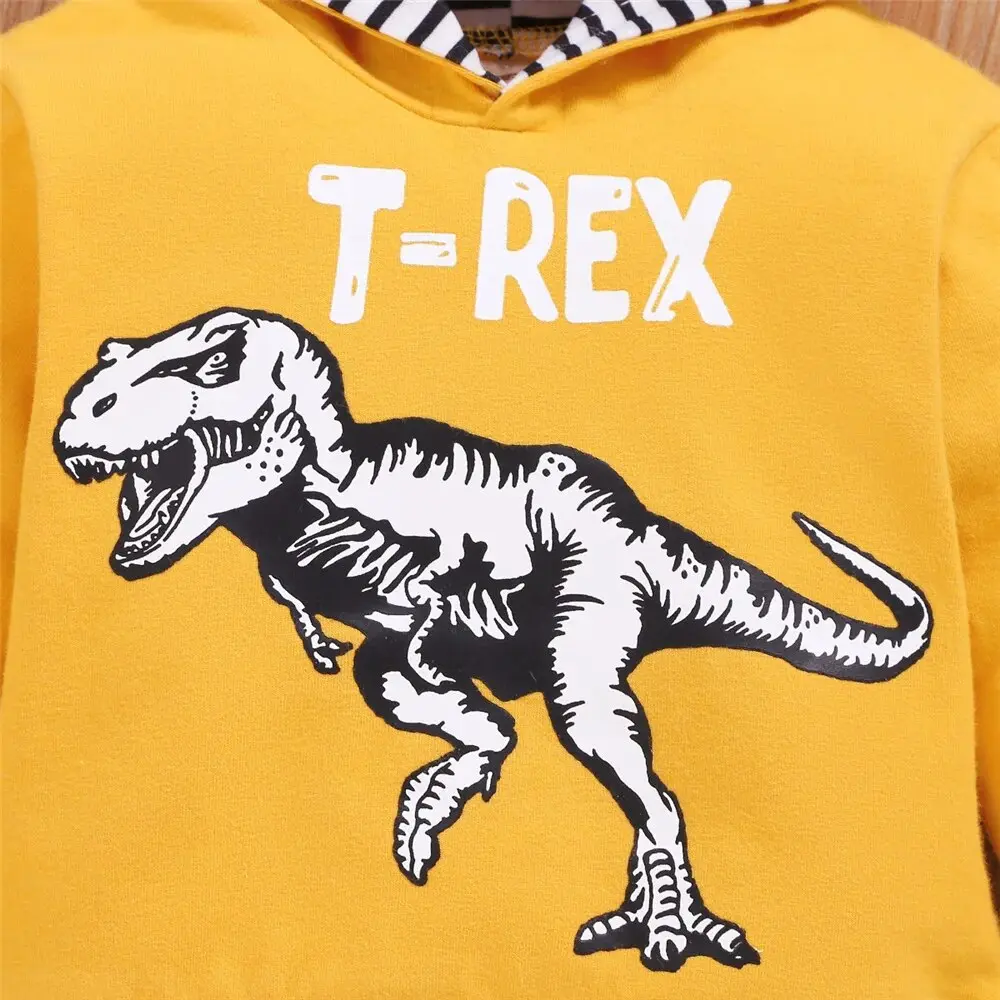 2Pcs Baby Boy Spring&Autumn Clothes Set Dinosaur Hooded Long Sleeved Top+Pants Sporty Outfit for Toddler Boy 0-3 Years