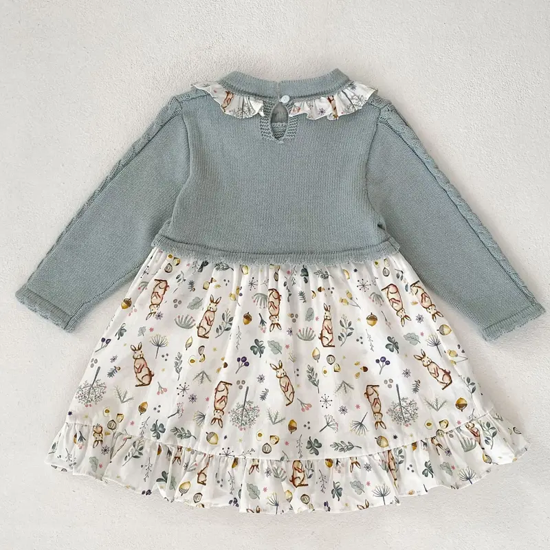 Autumn new baby clothing, girls aged 0-5, embroidered lace collar, bubble long sleeves, pit stripe, name lady long skirt