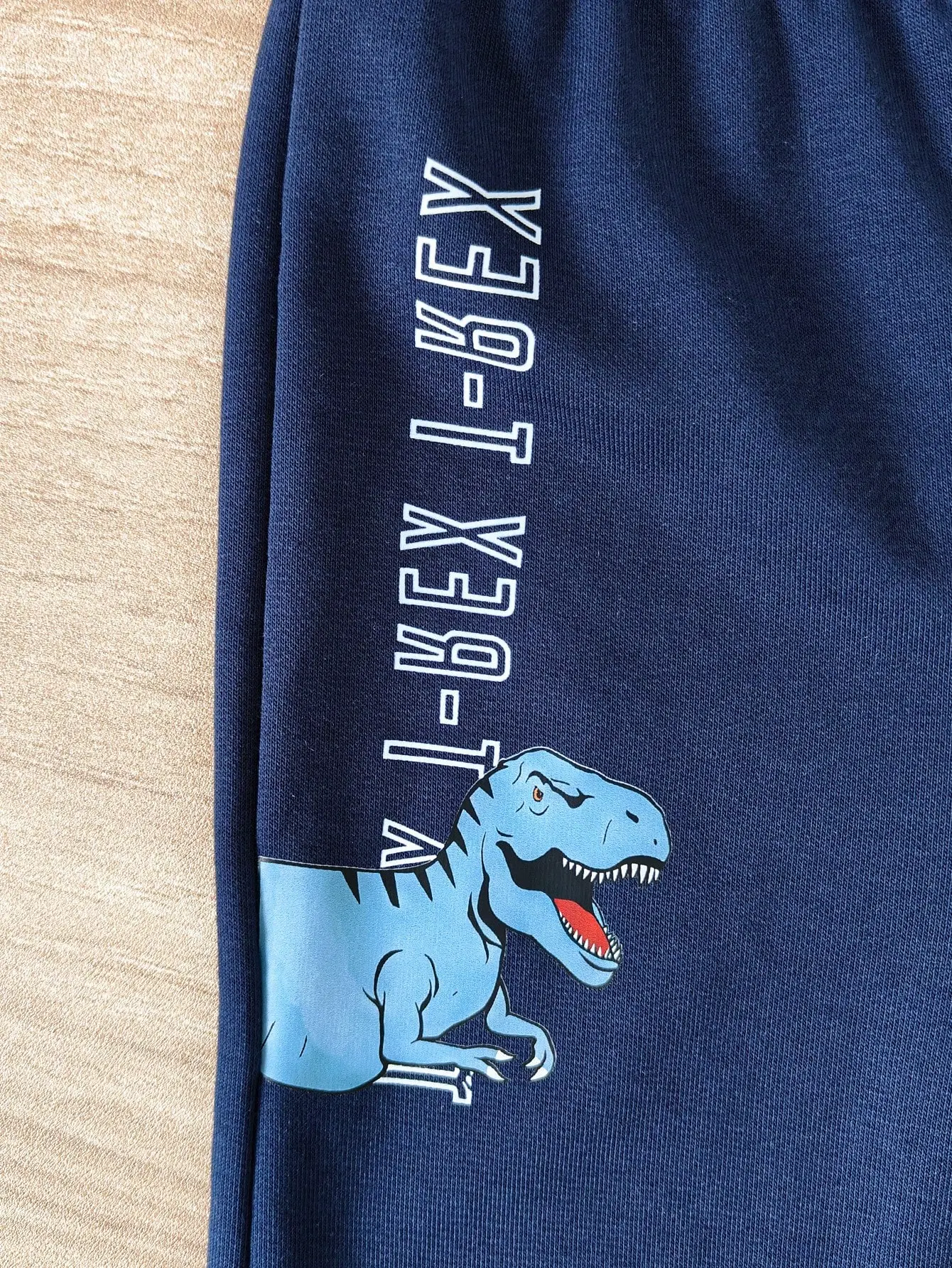 2-Piece Spring And Autumn Baby Boy Casual Cute Comfortable Sports Outdoor Long Sleeve Pants Suit Dinosaur Print DX2731