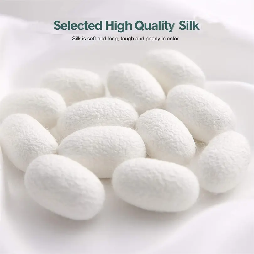 Luxury Pure Mulberry Silk Summer Quilt Comforter Jacquard Cotton Shell Breathable Air Condition Cooling Blanket Queen King Size