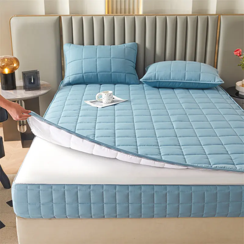 Six Sides Full Enclosed Mattress Protector Cover with Zipper Closure Thicken Quilted Mattress Topper Pad Luxury Soft Bed Sheet
