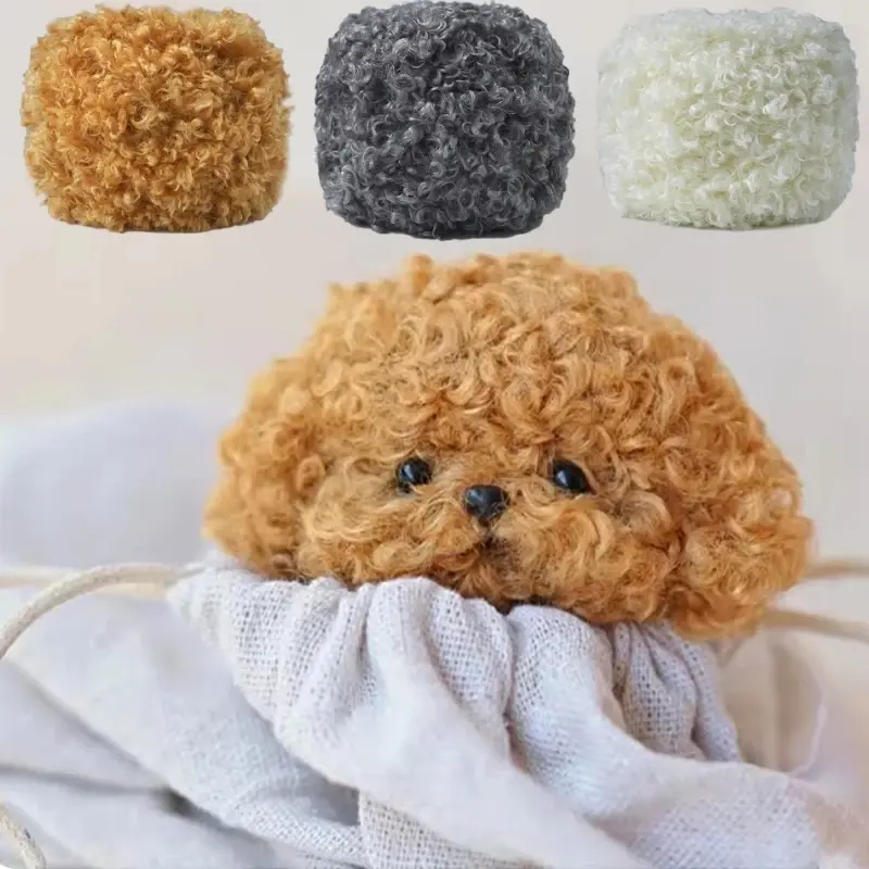 50g Teddy Curly Hair Woolen Yarn Thick Plush Trim Bar Crochet Yarn Diy Knitting Dolls Warm Blanket Handbag Soft Handwoven Thread