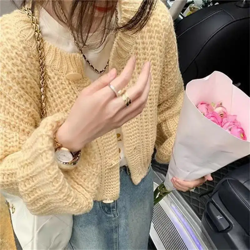 Dongdaemun Spring New Style Round Neck Slimming Long Sleeve Sweater Cardigan Jacket Women's Trendy Lazy Temperature