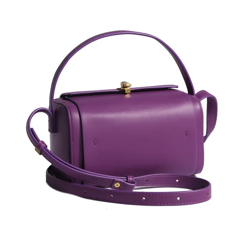 Women's New 2023 Niche Brazilian Purple Stanford Box Small Square Bag Single Shoulder Slant Cross Bag High-End Quality