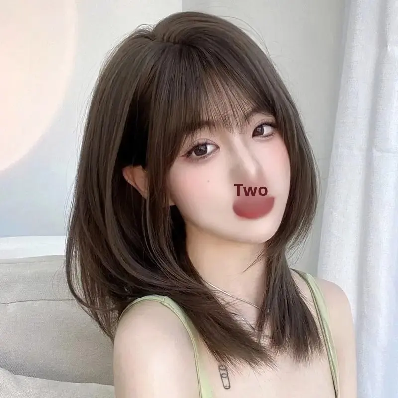 Natural Short Hair Wig for Women Full Head Cover Cute Affordable Popular Shoulder Length Hair Extensions Easy to Wear And Mainta