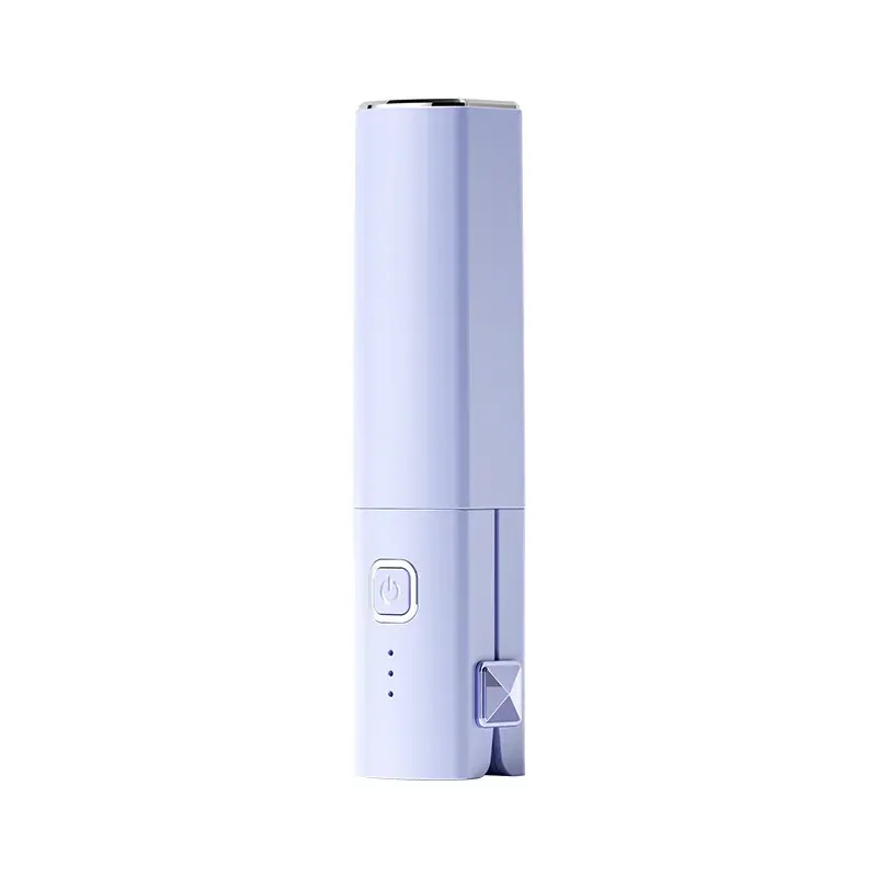 Mini Portable Hair Straightening And Curling Iron for Women Airy Bangs Straightening Clamp Small Size Hair Styling Tool