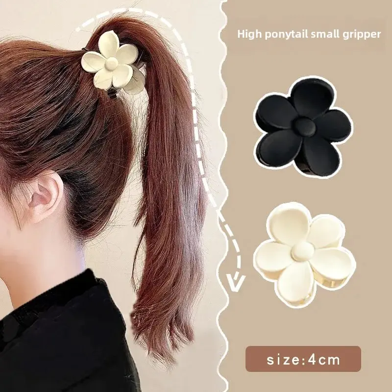 High Ponytail Hair Clip Fixed Hair Accessory Small Claw Clip Hair Holder Professional Salon Partition & Fixation Hair Grips