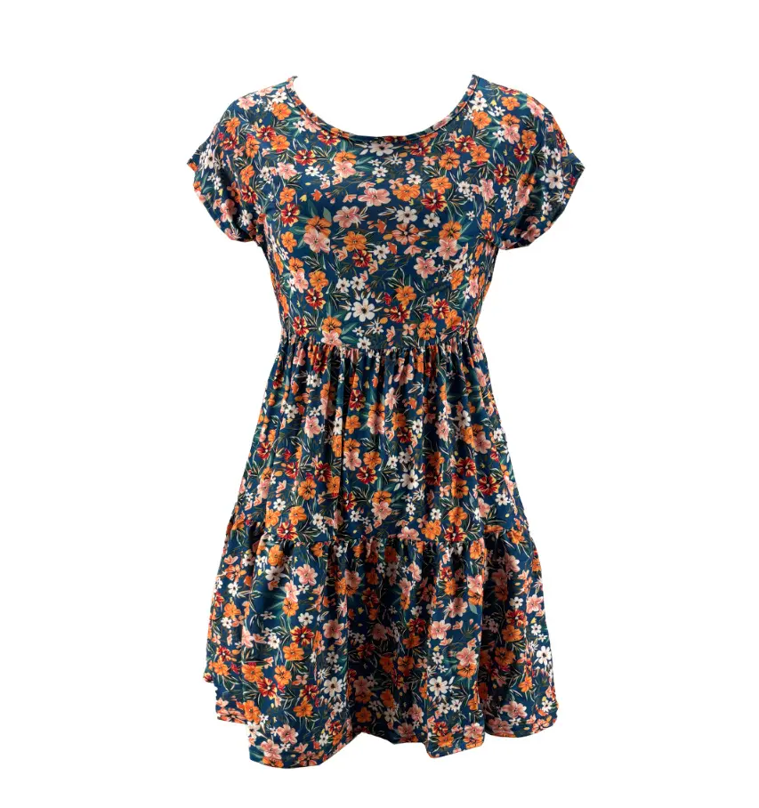 2025 Amazon Global New Women's Elegant Printed Elastic Waist Short Sleeve Round Neck Dress