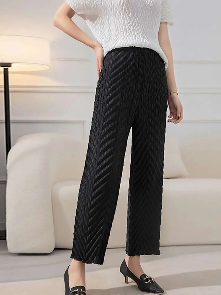LANMREM Wide Leg Pleated Pants For Women Elastic Waist Solid Color Long Trousers Female Elegant Clothing 2025 Spring New 2R7924