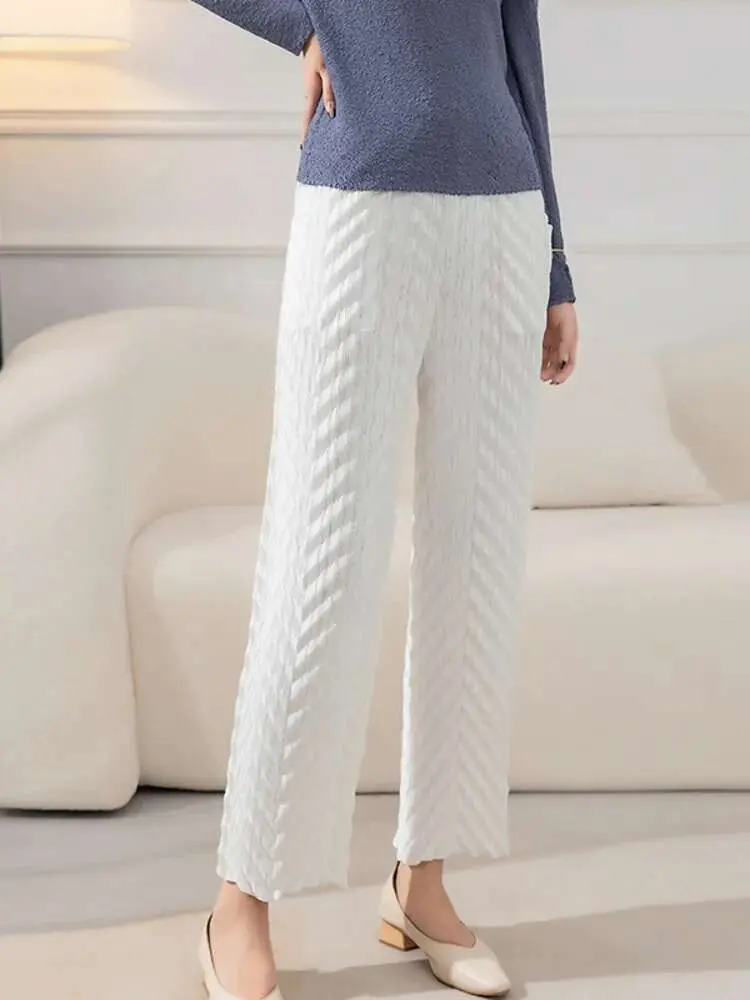 LANMREM Wide Leg Pleated Pants For Women Elastic Waist Solid Color Long Trousers Female Elegant Clothing 2025 Spring New 2R7924