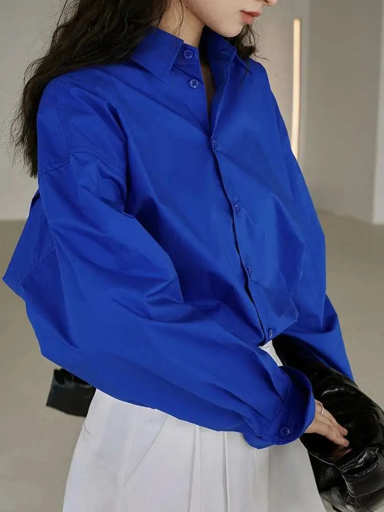 LANMREM Women's Casual Shirt Solid Color Lapel Long Sleeves Single Breasted Versatile Tops 2025 Spring New Clothing 2AA2491