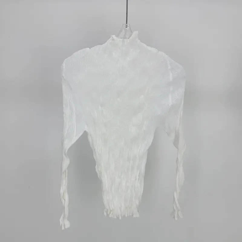 LANMREM Semitransparent Pleated Women's T-Shirt Elegant Stand Collar Elastic Slimming Chic Versatile Base Pullover Tops 2DB4194