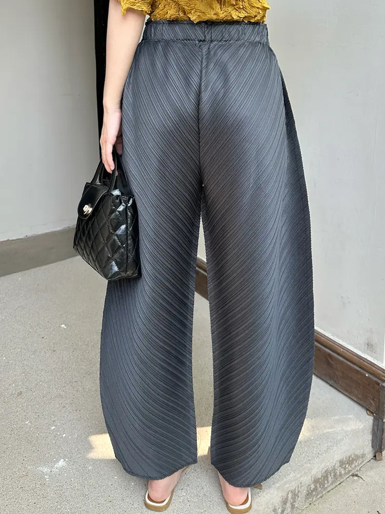 LANMREM Niche Design Women's Pleated Pants 2025 New Summer Fashion Loose Wide Leg Trousers Elastic Waist Dark Grey Pants 2DB2730