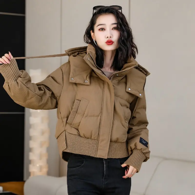 Women's Hooded Puffer Coats, Thick Loose Coats, Warm Outerwears, Monochromatic, Trendy, High Street, Short, Winter, New
