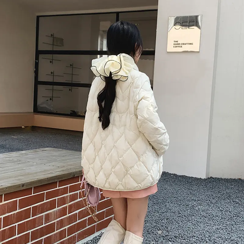 Lightweight Down Jacket for Female, Short Stand Collar Casual Wild White Duck Down Warm Coat New Fashion Fall and Winter 2024