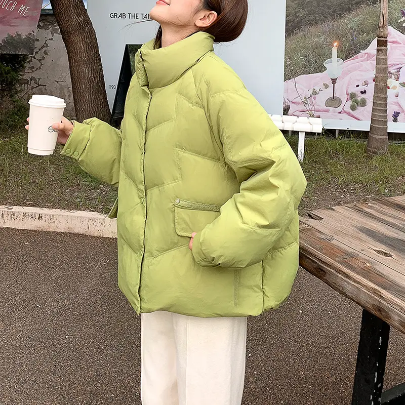 Women's Thick Warm Short Down Jackets, Casual Loose Outerwear, Stand-up Collar, Puffer Jackets, Simple, Autumn, Winter