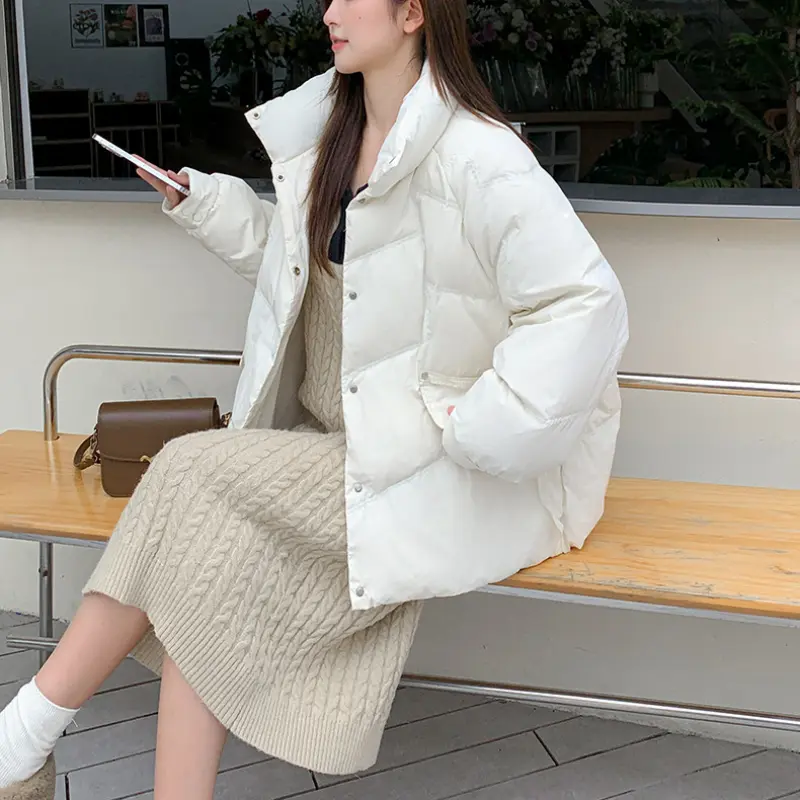 Women's Thick Warm Short Down Jackets, Casual Loose Outerwear, Stand-up Collar, Puffer Jackets, Simple, Autumn, Winter