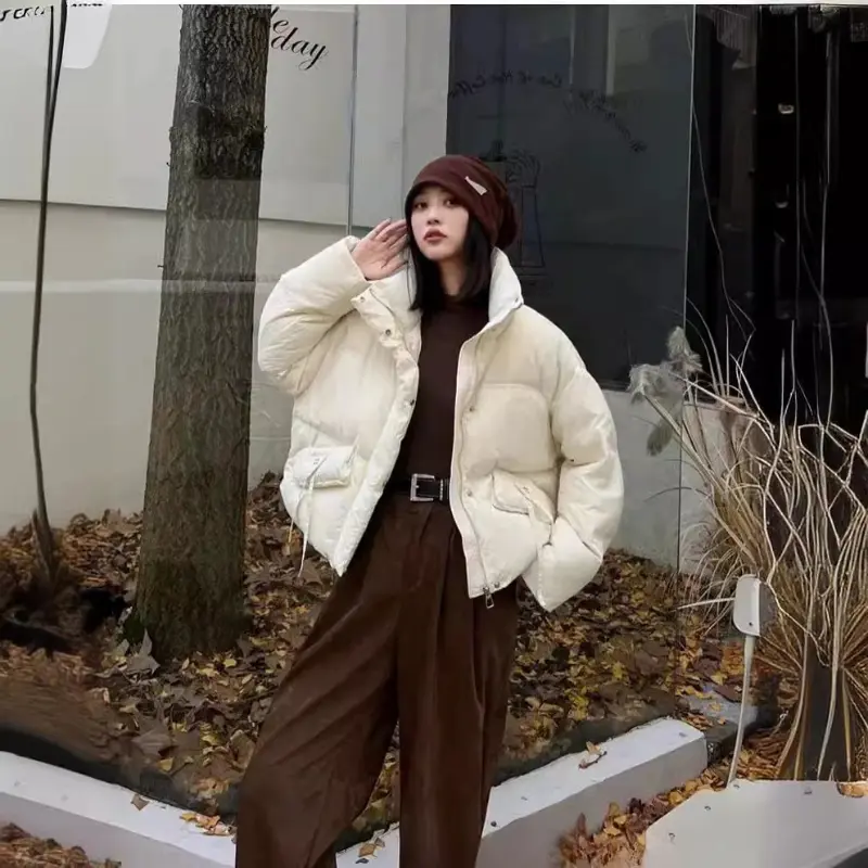 Women's Korean Fashion Winter Coat, Female Short Jacket, Stand-up Collar Outerwear, Warm Casual Parka High Street Coats New 2024