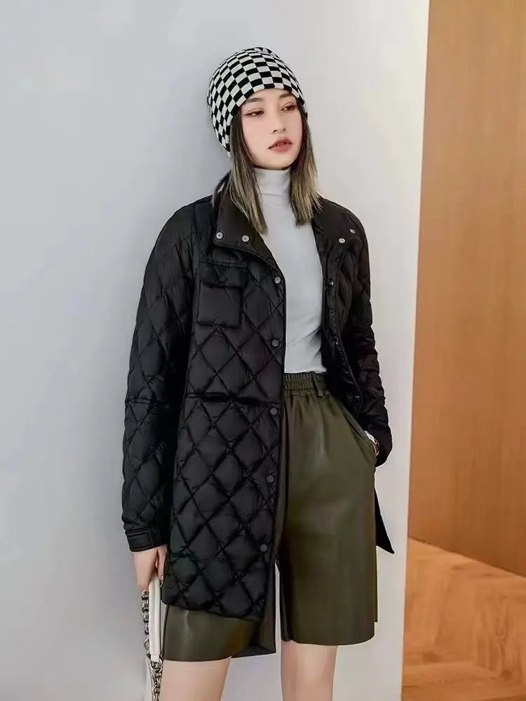 Women's Single-Breasted Casual Overcoat, Lightweight Down Jacket, Fashion Stand Collar, Literary Style, Warm, Autumn, Winter