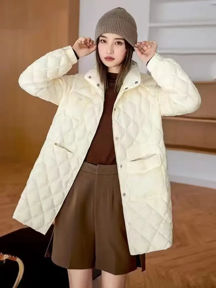 Women's Single-Breasted Casual Overcoat, Lightweight Down Jacket, Fashion Stand Collar, Literary Style, Warm, Autumn, Winter