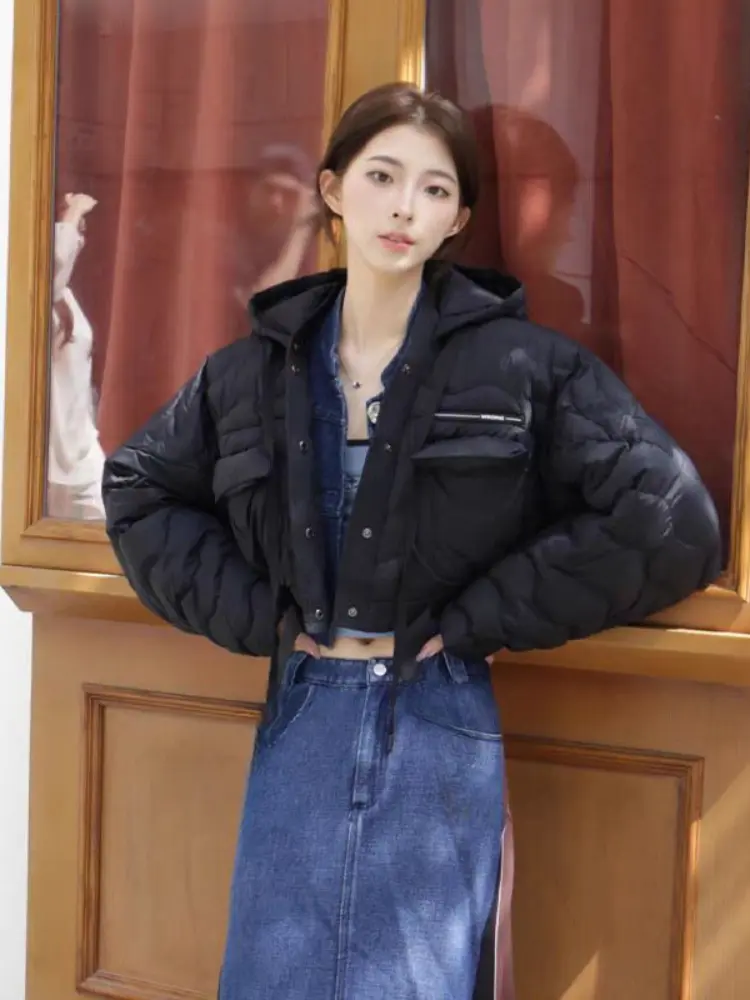 Women's White Duck Down Hooded Puffer Jacket, Thick, Warm, Short, Zipper, Color, Casual, Loose, Winter, Fashion, New