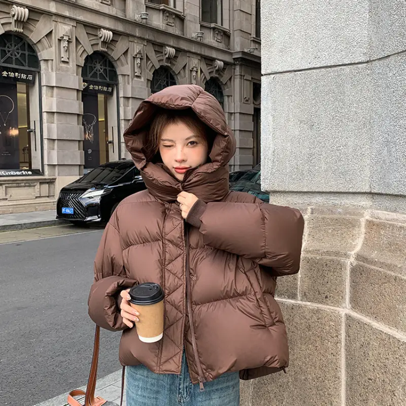 Women's Casual Loose Puffer Coats, Hooded Jacket, Thick, Warm Outerwear, Sweet, Korean Fashion, New, 2024
