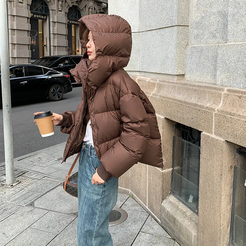 Women's Casual Loose Puffer Coats, Hooded Jacket, Thick, Warm Outerwear, Sweet, Korean Fashion, New, 2024