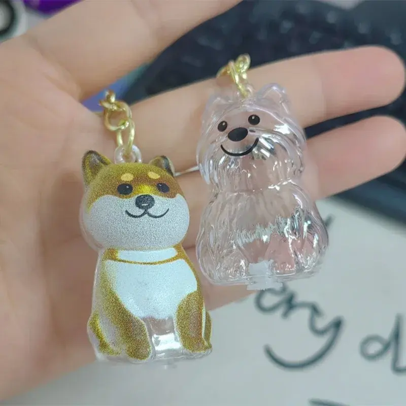 Dog Hair Memorial Storage Keychain Cat Party Favors Souvenirs Hair Storage Orgenizer Pendant Pet Hair Storage Box Pet Souvenirs