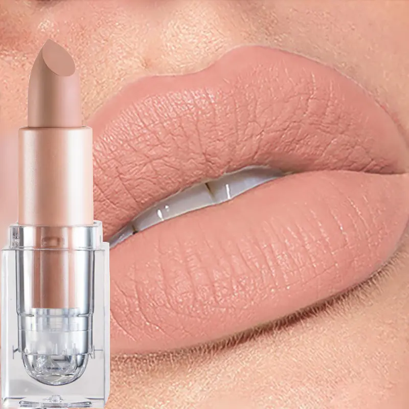 Handaiyan 12 Colors Matte Waterproof Velvet Nude Lipstick Sexy Red Brown Pigments Makeup Long Lasting Profissional