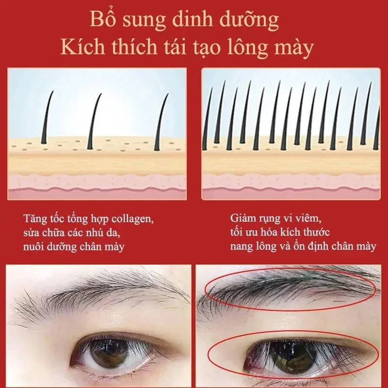 Eyebrow growth serum fast growing eyelash prevent hair loss damaged treatment thick dense eyes makeup care products